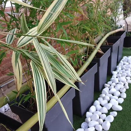 Tatil Evi Charmante Dependance En Campagne