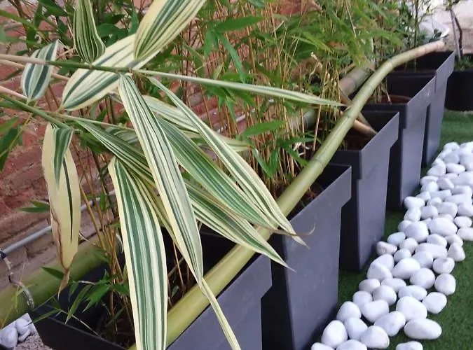 度假居 Charmante Dependance En Campagne